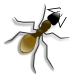 vector ant art