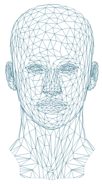 wireframe human head