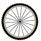 bicycle wheel spokes are normal to the rim