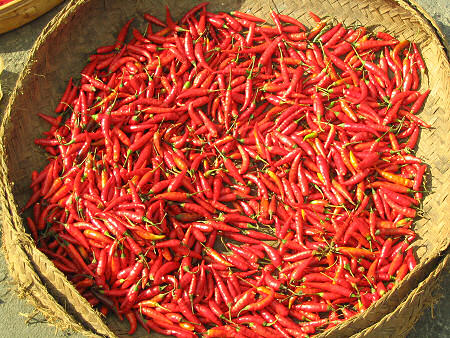 Chillies