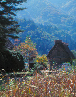 Shirakawa, Japan. Gassho-style house.