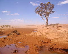 australian drought