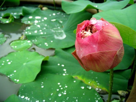 Lian Shan Shuang Monastery