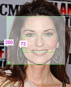 shania twain