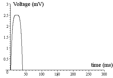 ECG model