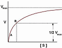 hyperbolic and exponential discounting