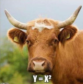 Cattle graphs y = x^2