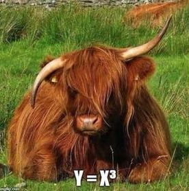 Cattle graphs y = x^3