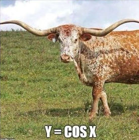 Cattle graphs y = cos x