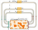 Metamaterials solve integral equations