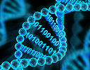 data stored in DNA