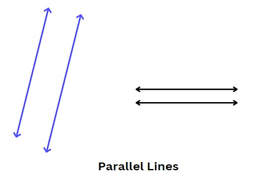 All About Lines in Geometry