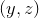 (y,z)
